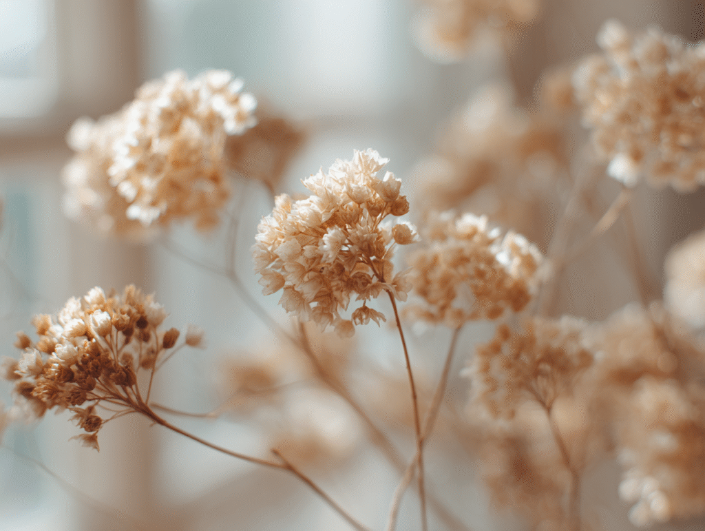 u5757561727 delicate botanical photography small dried flower 49f23c4e c7c3 46fe b082 7b9caef476c4 0